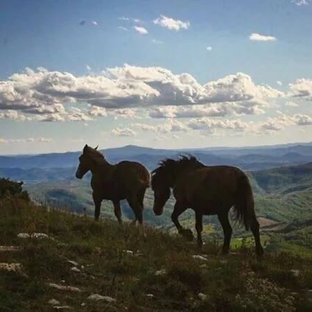 Costa Piccola With Private Pool In Umbria Villa *