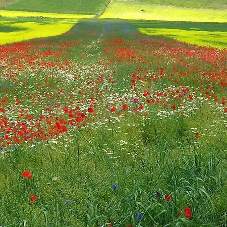 Costa Piccola With Private Pool In Umbria Villa