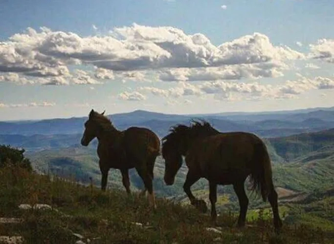 Costa Piccola With Private Pool In Umbria Villa *