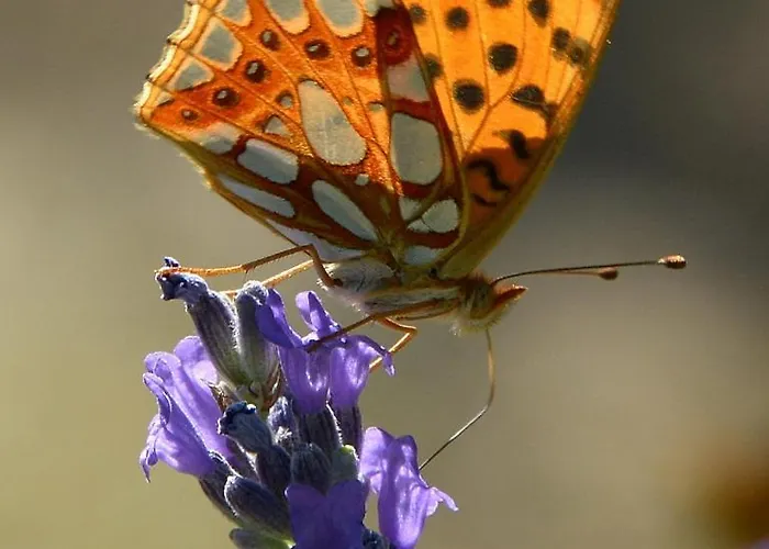 Costa Piccola With Private Pool In Umbria *